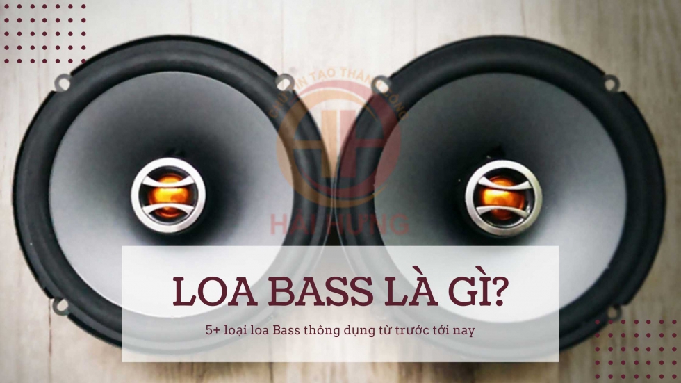 Loa Bass là gì 5 loại loa Bass thông dụng từ trước tới nay Chia Sẻ